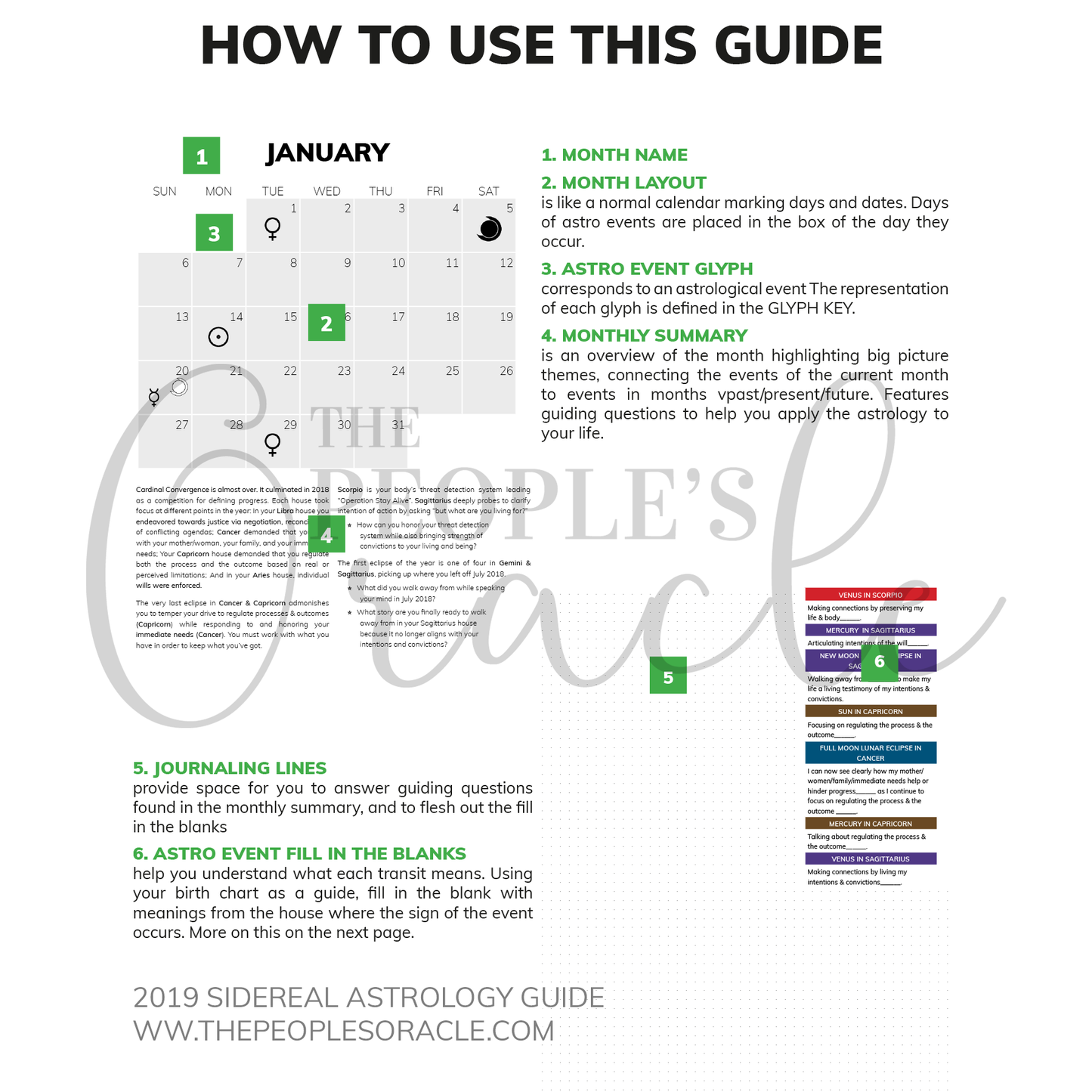2019 Sidereal Astrology Guide (DIGITAL - PDF)